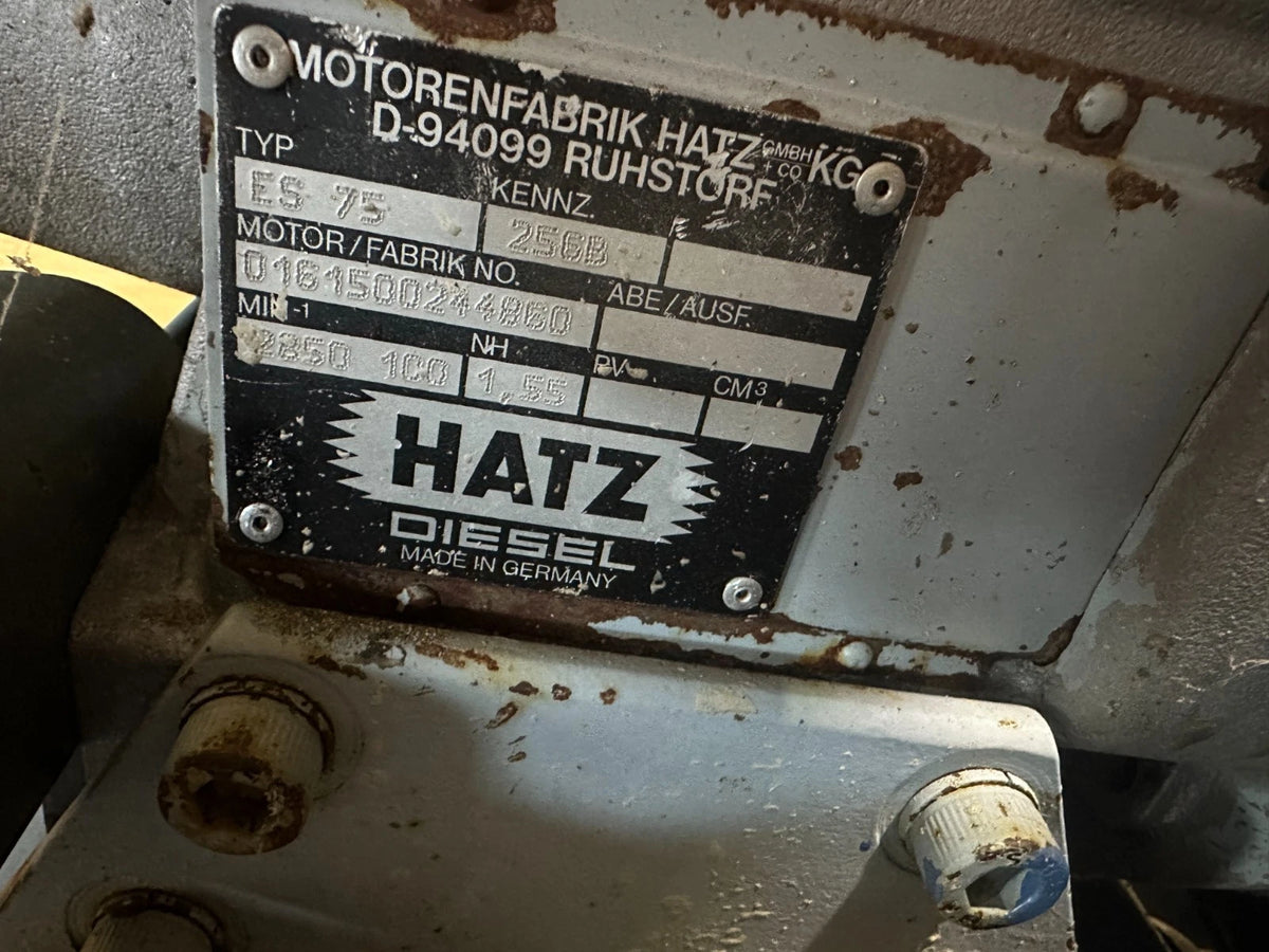 Wacker Neuson DPS 3060  Rüttelplatte